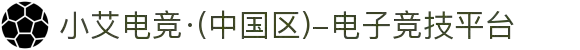 小艾电竞·(中国区)-电子竞技平台
